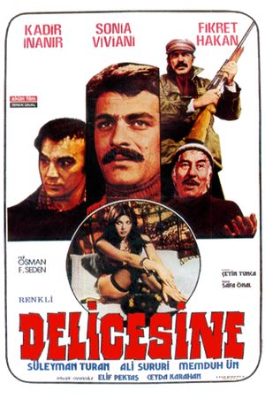 Delicesine's poster