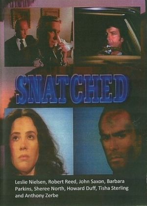 Snatched's poster