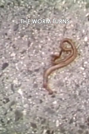 The Worm Turns's poster
