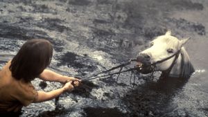 The NeverEnding Story's poster