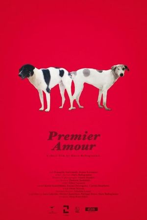 Premier Amour's poster