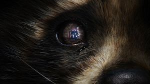 Guardians of the Galaxy Vol. 3's poster