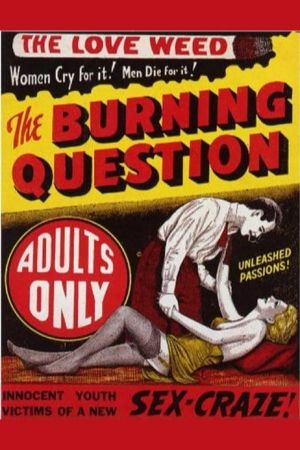 The Burning Question's poster