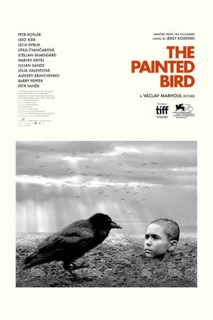 The Painted Bird's poster