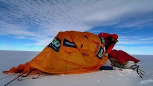A Woman in Antarctica's poster