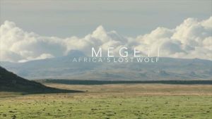 Megeti - Africa's Lost Wolf's poster