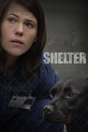 Shelter's poster image