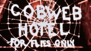 The Cobweb Hotel's poster