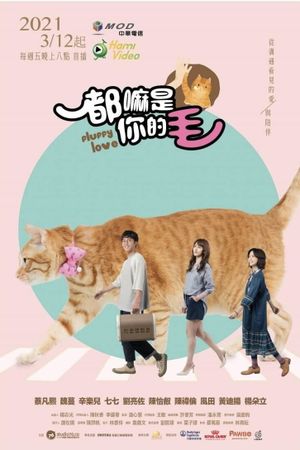 Fluffy Love's poster