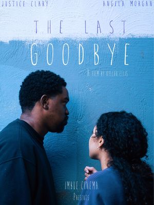 The Last Goodbye's poster