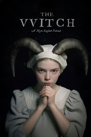 The Witch's poster