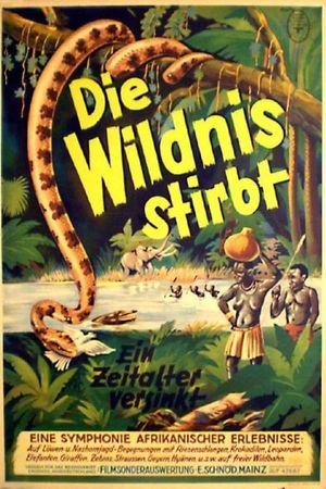 Die Wildnis stirbt!'s poster