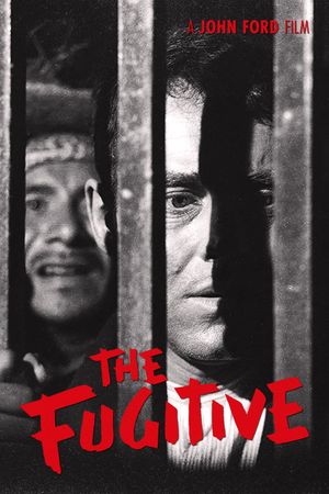 The Fugitive's poster