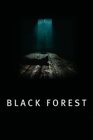 Black Forest's poster