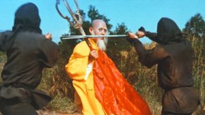 Ninja vs. Shaolin's poster
