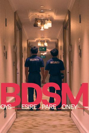 BDSM: Boys Desire Spare Money's poster