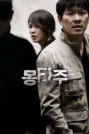 Montage's poster