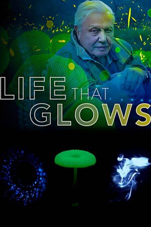 Attenborough's Life That Glows's poster image