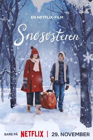 The Snow Sister's poster
