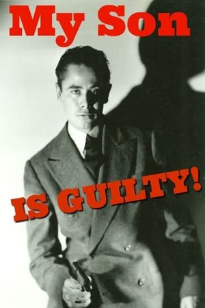My Son Is Guilty's poster image