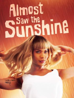 Almost Saw the Sunshine's poster image