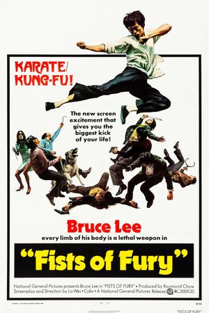 Fist of Fury's poster