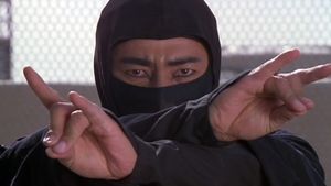 Revenge of the Ninja's poster