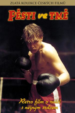 Fists in the Dark's poster