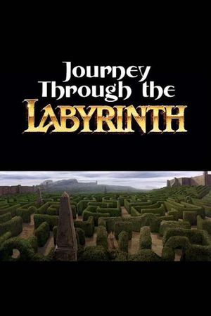 Journey Through the Labyrinth's poster