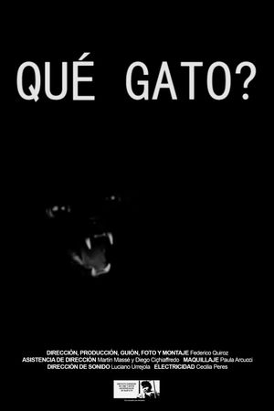 Qué gato?'s poster