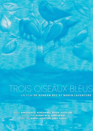 Trois oiseaux bleus's poster