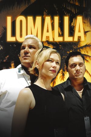 The South's poster