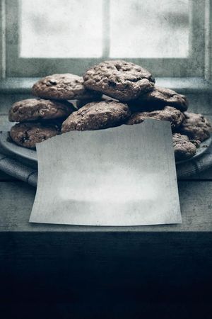 The Visit's poster