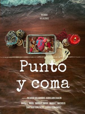 Punto y Coma's poster
