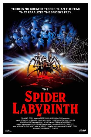 The Spider Labyrinth's poster