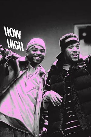 How High's poster