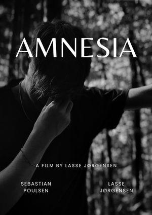 Amnesia's poster