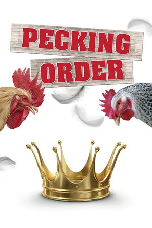 Pecking Order's poster