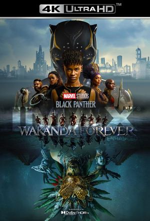 Black Panther: Wakanda Forever's poster