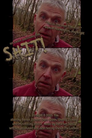 Shit!'s poster