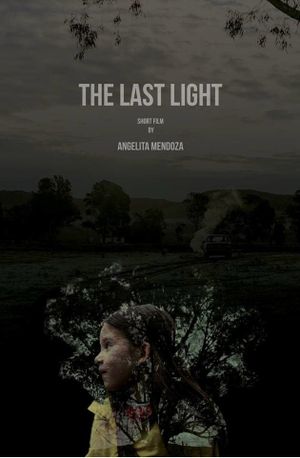 The Last Light's poster