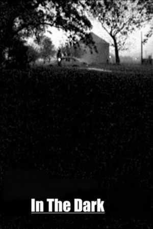 In the Dark's poster