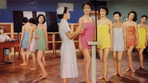 Air Hostess's poster