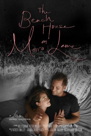 The Beach House on Morro Lane's poster image