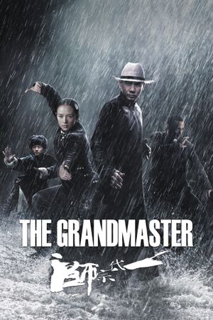The Grandmaster's poster