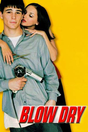 Blow Dry's poster