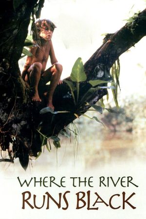 Where the River Runs Black's poster image