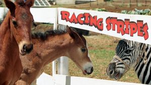 Racing Stripes's poster