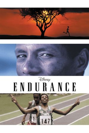 Endurance's poster