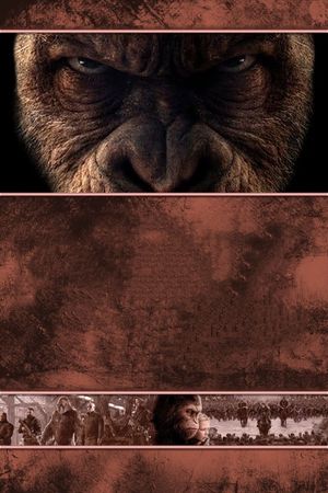 War for the Planet of the Apes's poster